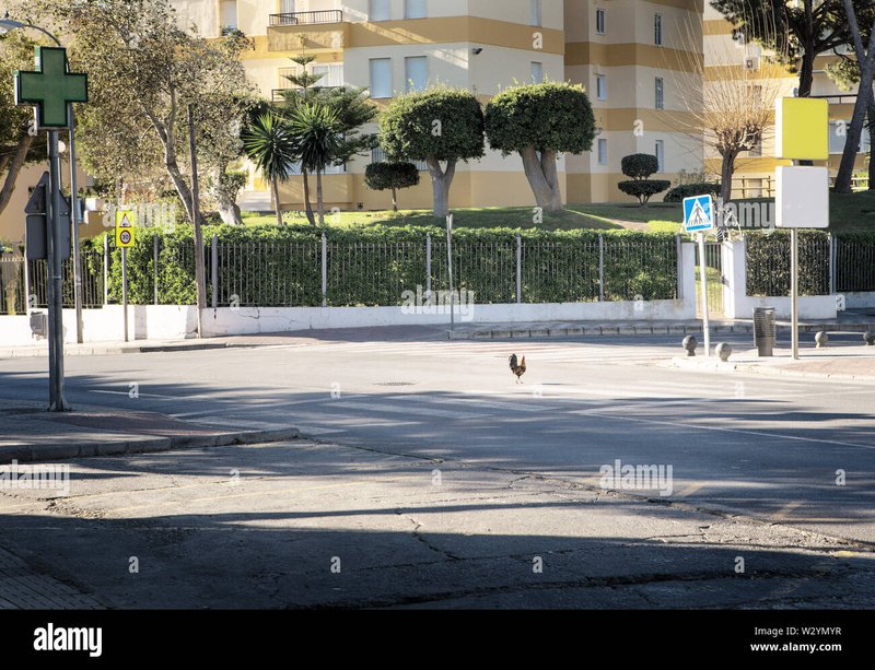 Spain - chicken road casino